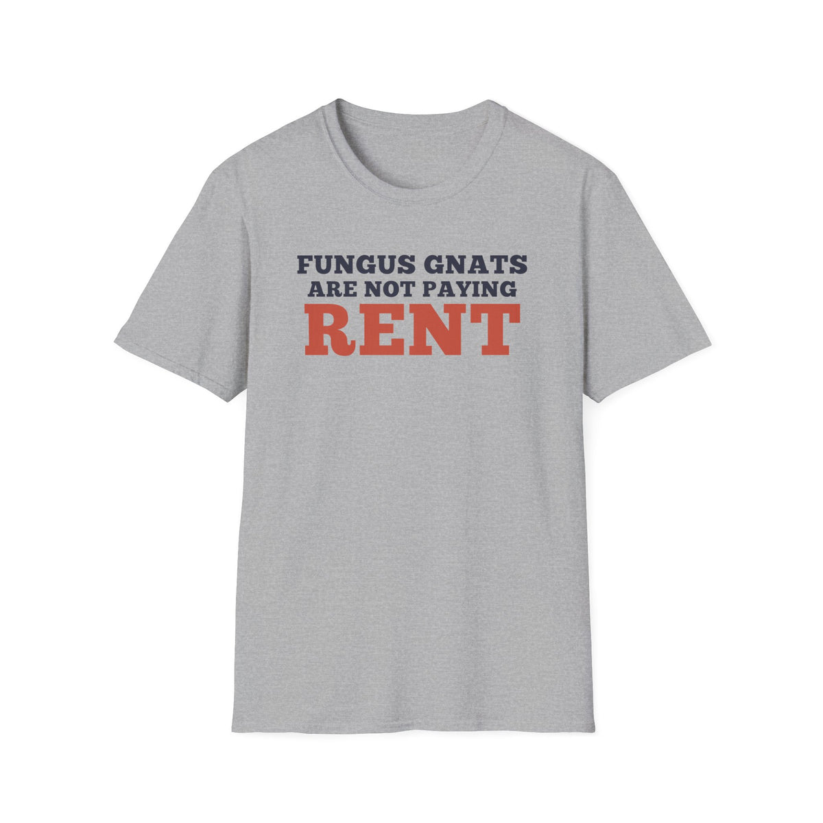 Fungus Gnats Are Not Paying Rent