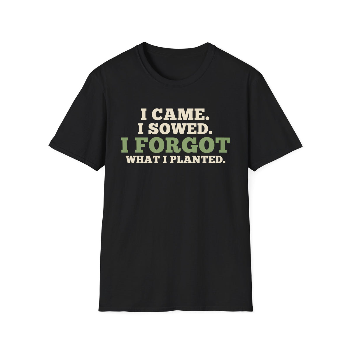I Came I Sowed I Forgot What I Planted