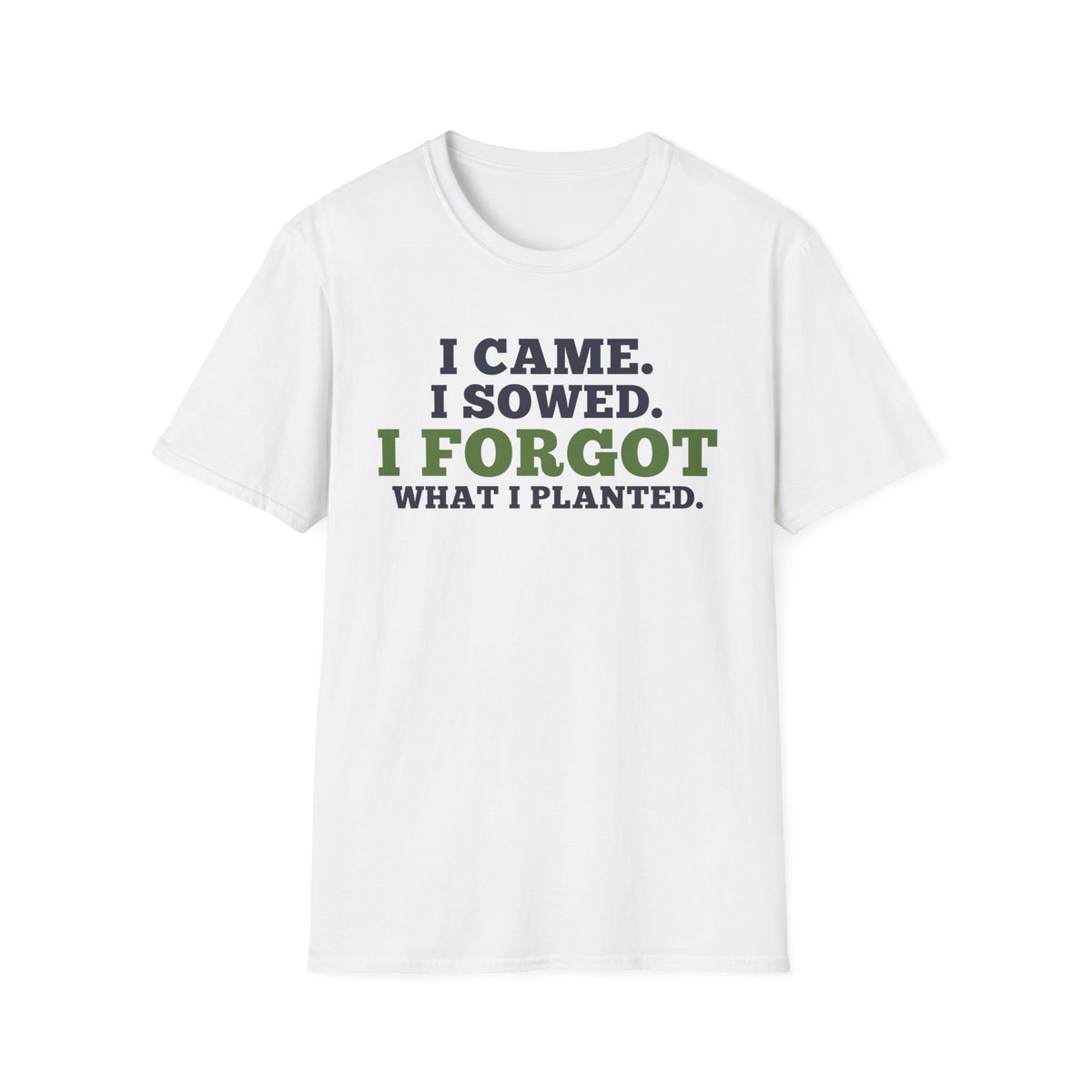 I Came I Sowed I Forgot What I Planted