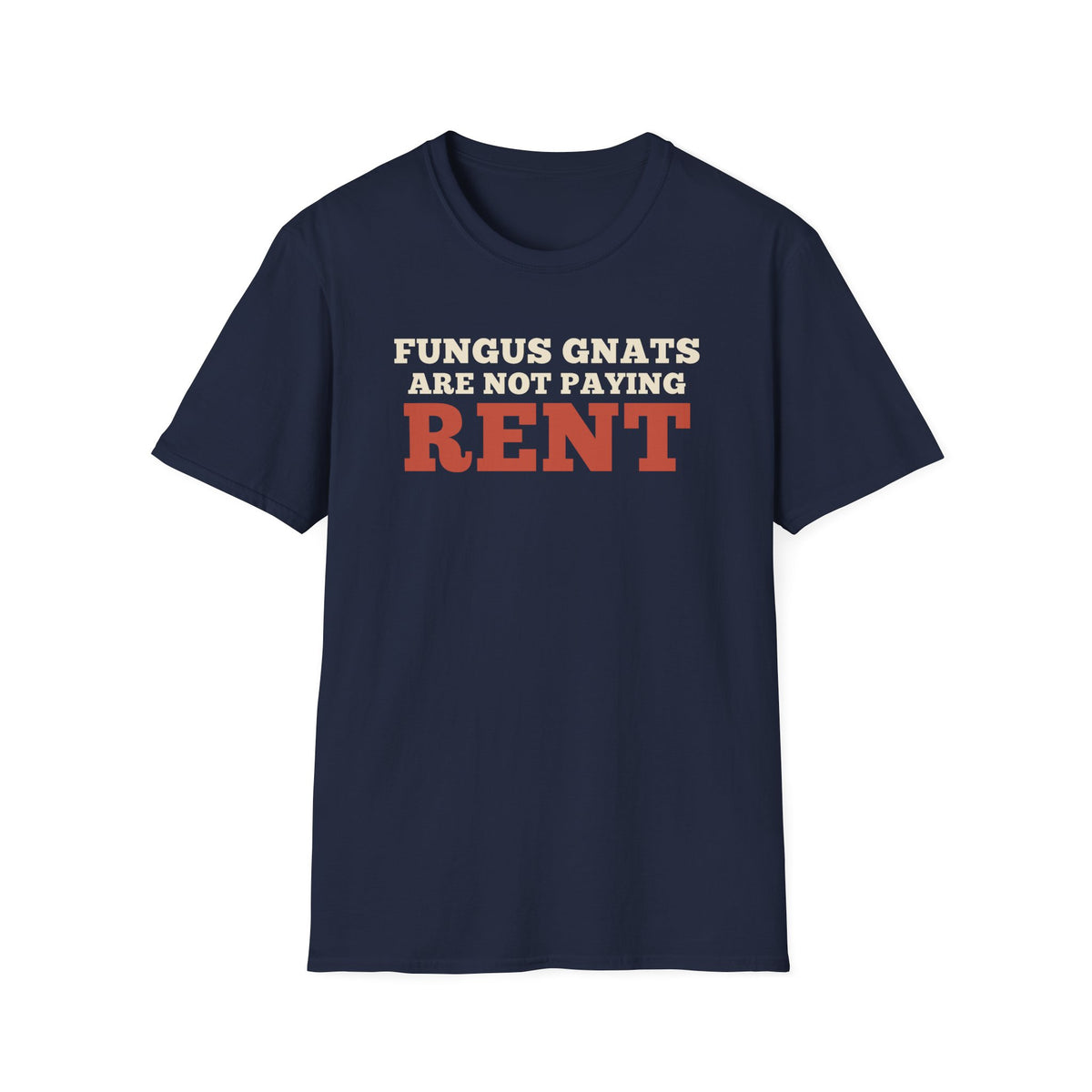Fungus Gnats Are Not Paying Rent
