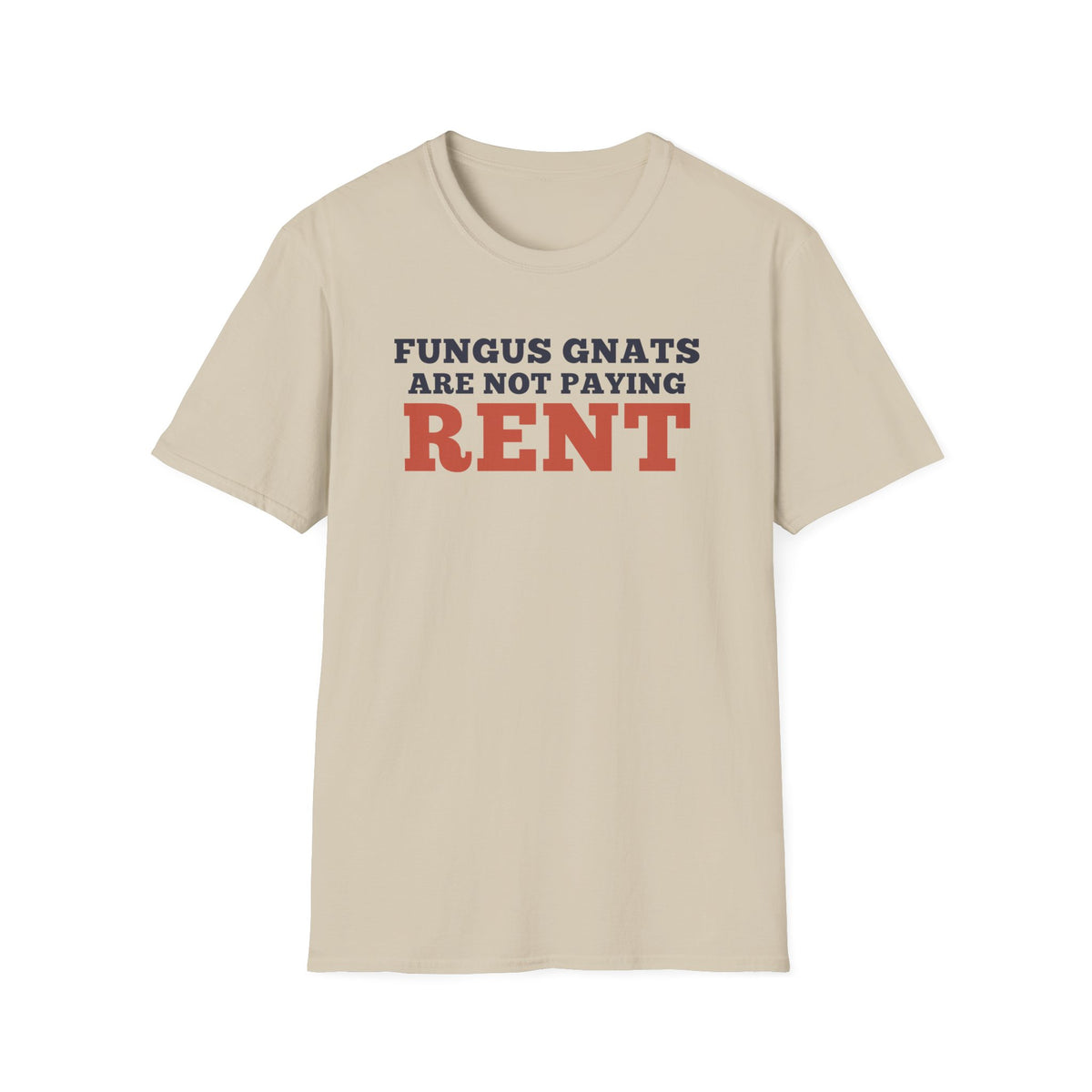 Fungus Gnats Are Not Paying Rent