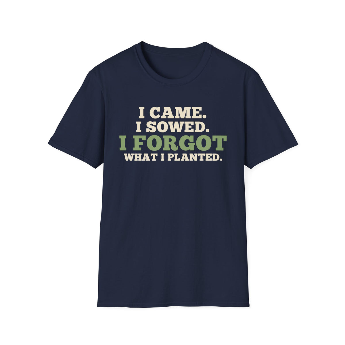 I Came I Sowed I Forgot What I Planted